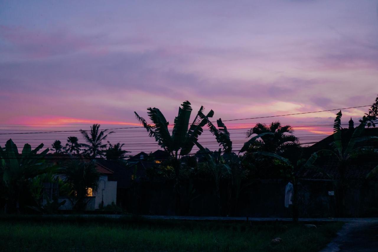 Wita House Villa Ubud Kültér fotó